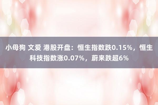 小母狗 文爱 港股开盘：恒生指数跌0.15%，恒生科技指数涨0.07%，蔚来跌超6%