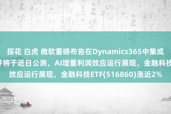 探花 白虎 微软重磅布告在Dynamics365中集成10个自主AIAgent，并将于近日公测，AI增重利润效应运行展现，金融科技ETF(516860)涨近2%