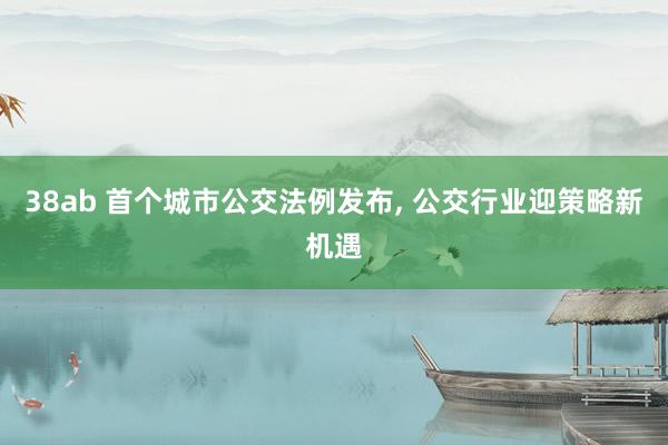 38ab 首个城市公交法例发布， 公交行业迎策略新机遇