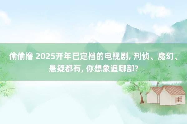 偷偷撸 2025开年已定档的电视剧， 刑侦、魔幻、悬疑都有， 你想象追哪部?