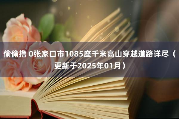 偷偷撸 0张家口市1085座千米高山穿越道路详尽（更新于2025年01月）