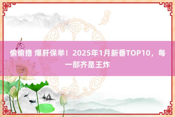 偷偷撸 爆肝保举！2025年1月新番TOP10，每一部齐是王炸