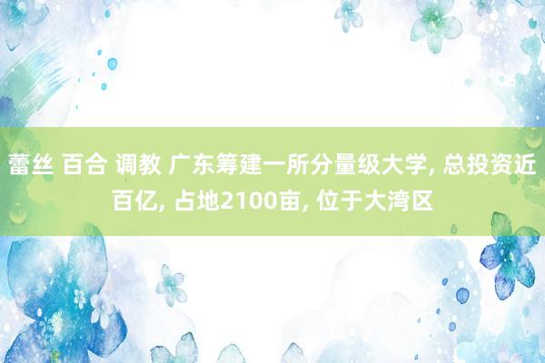 蕾丝 百合 调教 广东筹建一所分量级大学， 总投资近百亿， 占地2100亩， 位于大湾区