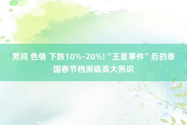 男同 色情 下跌10%-20%!“王星事件”后的泰国春节档濒临高大熟识